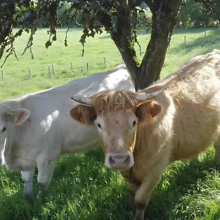 Au Coeur De La Campagne Casa de Férias *